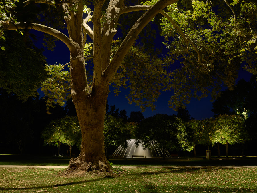 New Lighting for the City Park in Merzig by Tobias Link | Parks