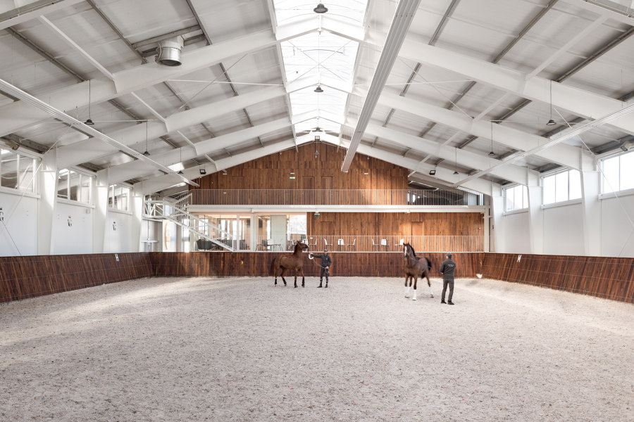 VG Horse Club by Drozdov&Partners | Detached houses