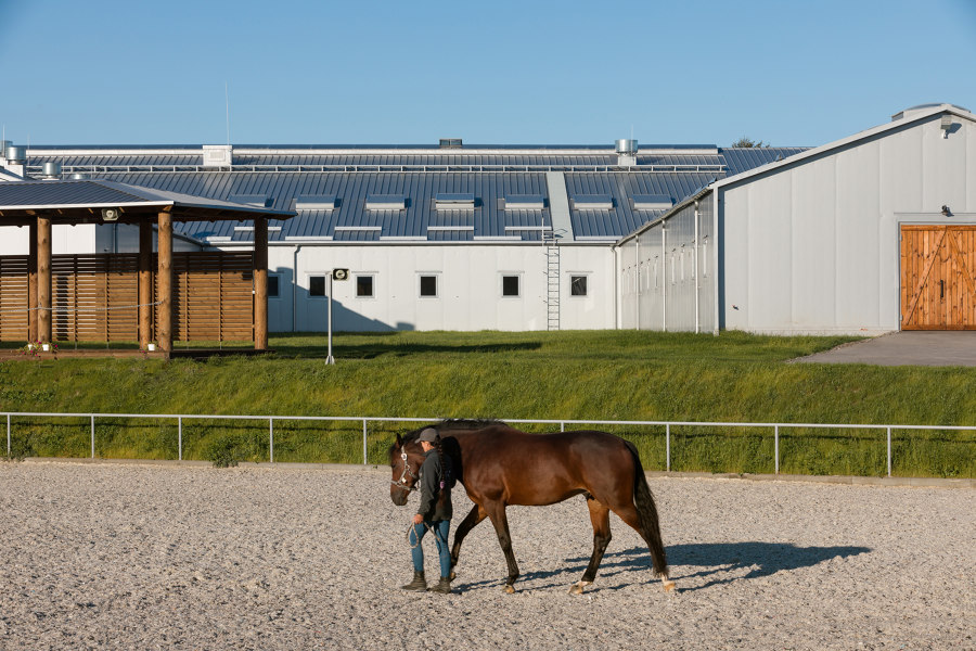 VG Horse Club by Drozdov&Partners | Detached houses