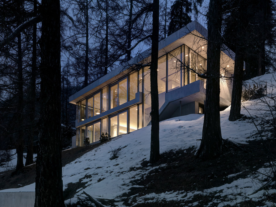 A purist in harmony with nature von Cavigelli & Associates | Einfamilienhäuser