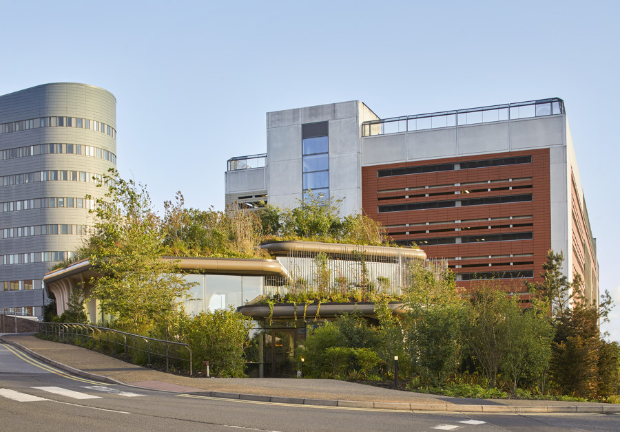 Maggie’s Leeds Centre by Heatherwick Studio | Hospitals