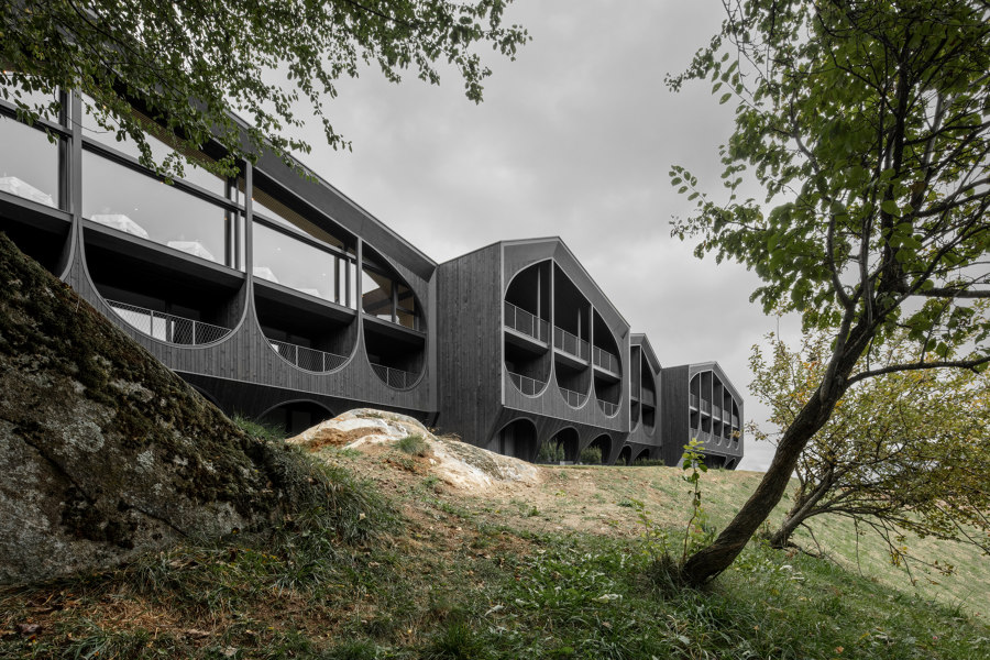 Hotel Milla Montis di Peter Pichler Architecture | Alberghi