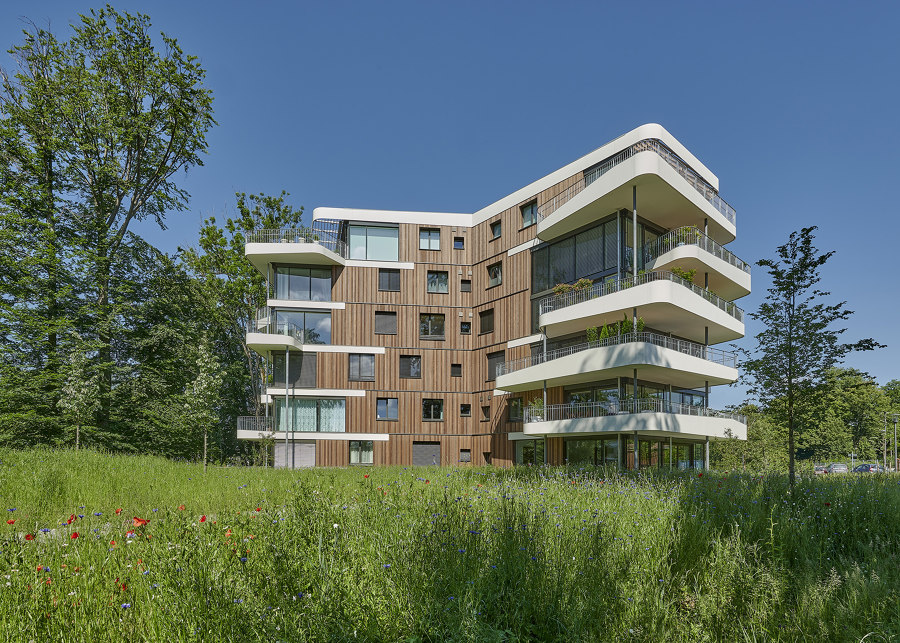 Living in the Spinnereipark (Y-Houses) by Behnisch Architekten | Apartment blocks