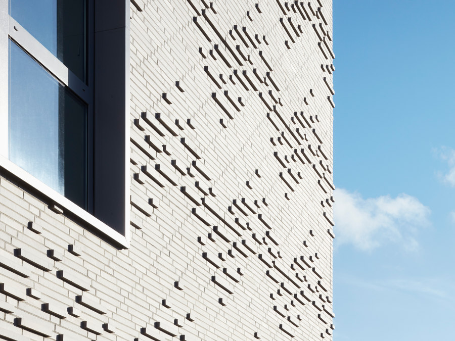 Facade and Lecture Hall Renovation for the Institute for Clinical Anatomy and Cell Analysis by Dannien Roller Architekten und Partner | Universities