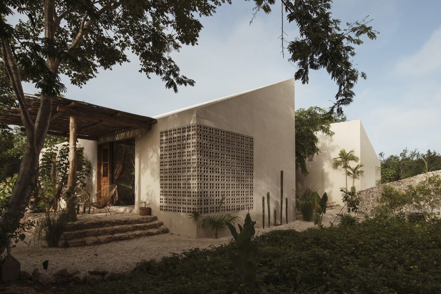 Galopina Wild House by TACO Taller de Arquitectura Contextual | Detached houses