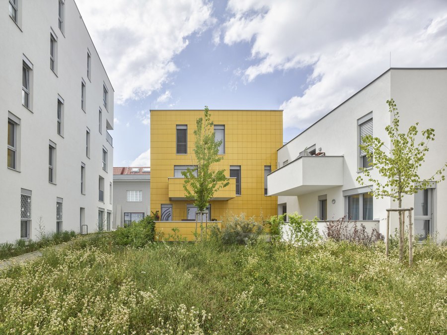 The Sunflower Houses | Apartment blocks | arenas basabe palacios