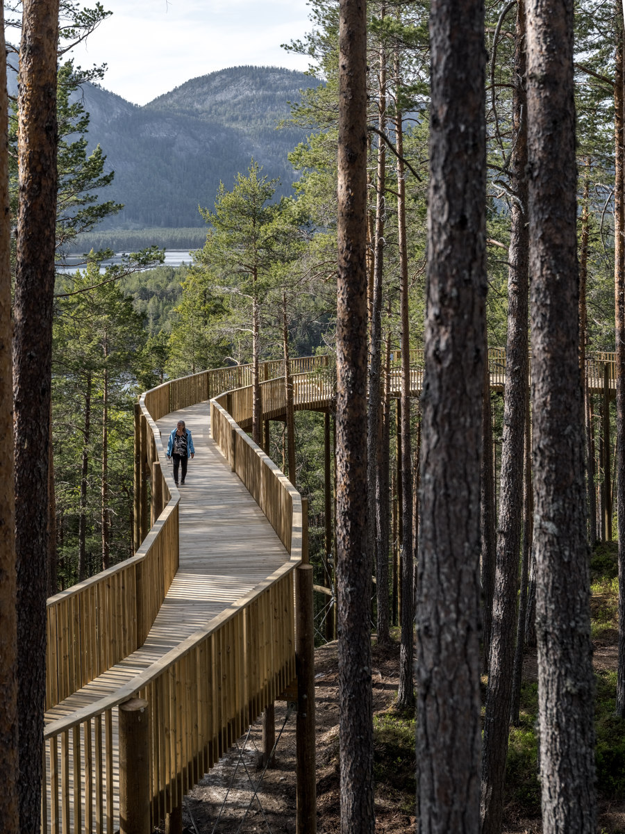Treetop Walk Hamaren Activity Park by EFFEKT | Parks