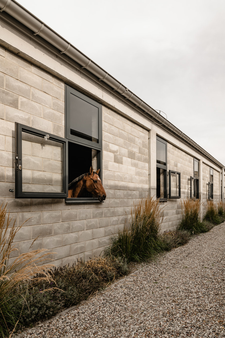 Horse House Stable de wiercinski-studio | Constructions industrielles