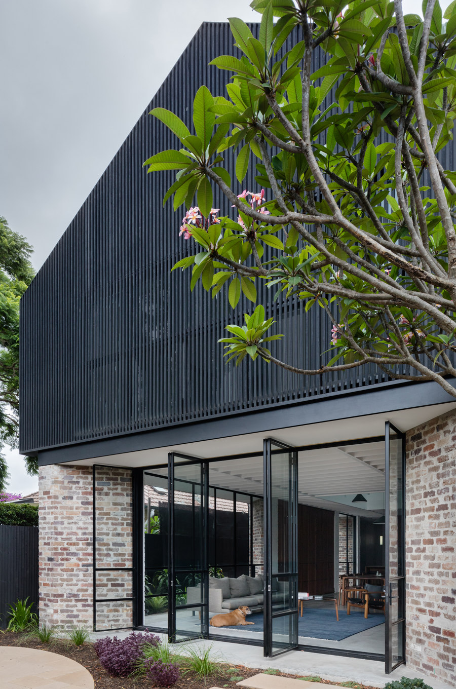 Queens Park House by Tribe Studio Architects | 