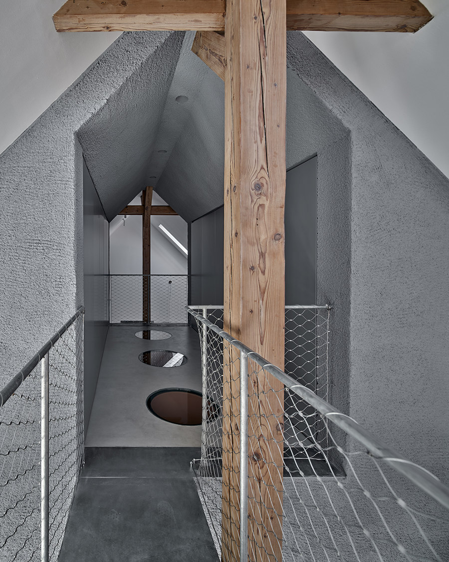 Attic Reconstruction in Gliwice von Dyrda Fikus Architekci | Wohnräume