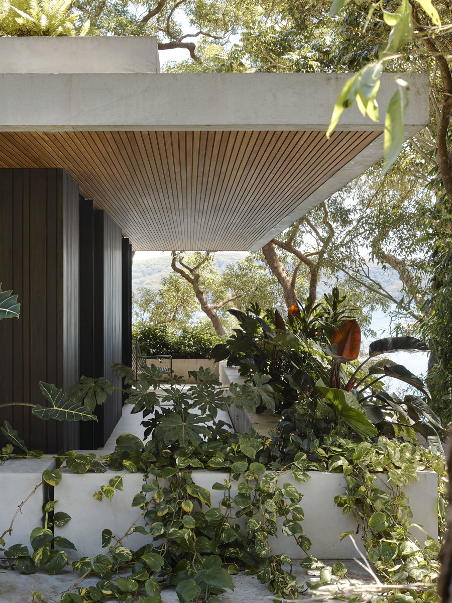 M House von Rama Architects | Einfamilienhäuser