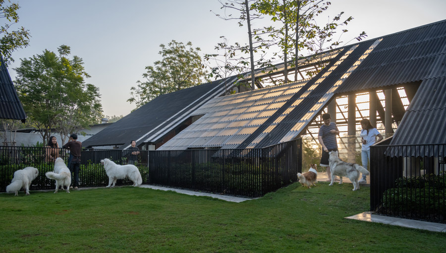 Dog / Human House de EKAR architects | Casas Unifamiliares
