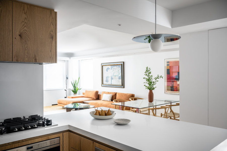 Palmer Apartment von Fernando Fisbein Architect | Wohnräume