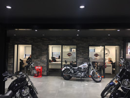 Harley Davidson Store | Referencias de fabricantes | Rondine