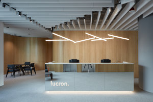 Lucron office | Spazi ufficio | Čechvala Architects