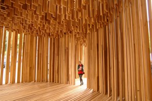 American Tulipwood Pavilion | Installations | David Adjaye