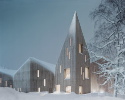 Romsdal Folk Museum | Museums | Reiulf Ramstad Arkitekter