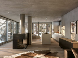 A purist in harmony with nature | Einfamilienhäuser | Cavigelli & Associates