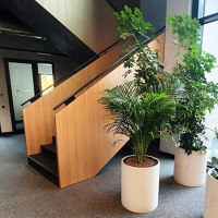 Office Building | Herstellerreferenzen | CWP Coloured Wood Products