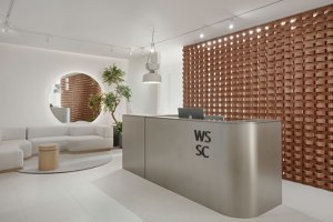 WSSC | Cabinets | Espace 313