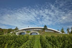 Gurdau Winery | Hoteles | Aleš Fiala