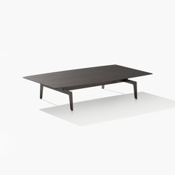 Tribeca | Tabletop rectangular | Poliform