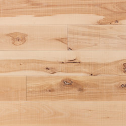 Assi del Cansiglio | Beech La Fenice | Wood flooring | Itlas