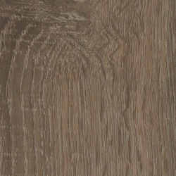 Truffle Sonoma Oak | Wood panels | Pfleiderer