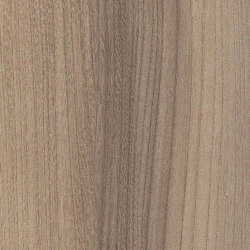 Truffle Baron Elm | Wood panels | Pfleiderer