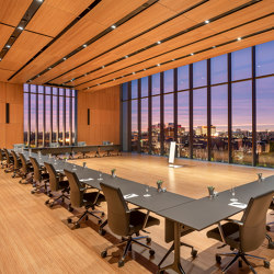 Plexwood Application - The David Rubenstein Forum | Wood panels | Plexwood