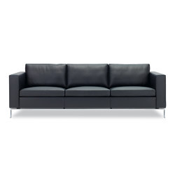 Foster 503 Sofa | Divani | Walter K.