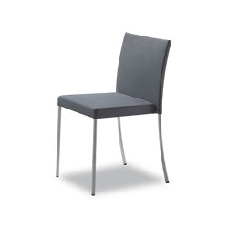 Jason Lite Chair | Sedie | Walter K.