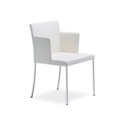 Jason Lite Chair | Sedie | Walter K.