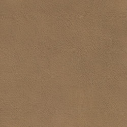 COUNT PRESTIGE 14163 Sandstone | Colour brown | BOXMARK Leather GmbH & Co KG