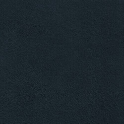 IMPERIAL PREMIUM 52121 Navy Blue | Colour blue | BOXMARK Leather GmbH & Co KG