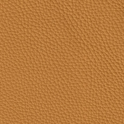 MONDIAL 28498 Chamel | Colour brown | BOXMARK Leather GmbH & Co KG