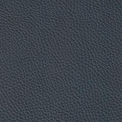 MONDIAL 58060 Dove Blue | Colour blue | BOXMARK Leather GmbH & Co KG