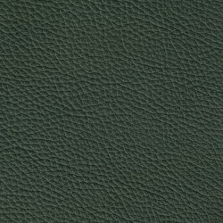 MONDIAL 68058 Fir Green | Natural leather | BOXMARK Leather GmbH & Co KG