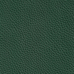 MONDIAL 68500 Ivy Green | Natural leather | BOXMARK Leather GmbH & Co KG