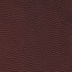 MONDIAL 88202 Chestnut | Colour brown | BOXMARK Leather GmbH & Co KG
