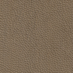 MONDIAL 88233 Truffle | Colour brown | BOXMARK Leather GmbH & Co KG