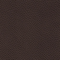 MONDIAL 88507 Walnut Dark | Natural leather | BOXMARK Leather GmbH & Co KG
