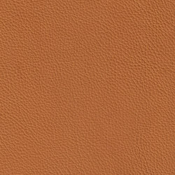 ROYAL 29110 Khaki | Natural leather | BOXMARK Leather GmbH & Co KG