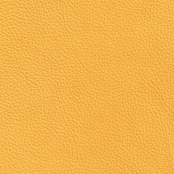 ROYAL 29176 Sun | Colour yellow | BOXMARK Leather GmbH & Co KG