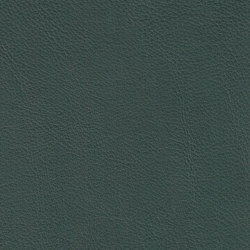 ROYAL 69118 Tobernit | Colour green | BOXMARK Leather GmbH & Co KG