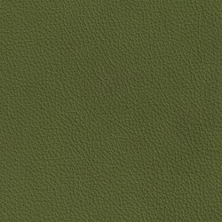 ROYAL 69130 Laurel | Colour green | BOXMARK Leather GmbH & Co KG