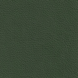 ROYAL 69140 Forest | Colour green | BOXMARK Leather GmbH & Co KG