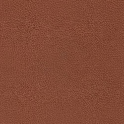 ROYAL 89112 Cinnamon | Colour brown | BOXMARK Leather GmbH & Co KG