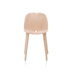 Osso Chair | MC3 | without armrests | Mattiazzi
