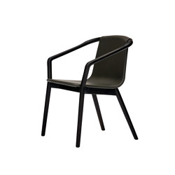 Thomas Chair | with armrests | SP01